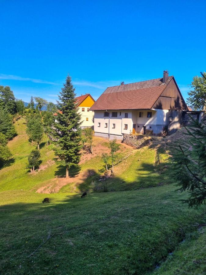 Ferienwohnung Holiswald Oppenau Exteriér fotografie
